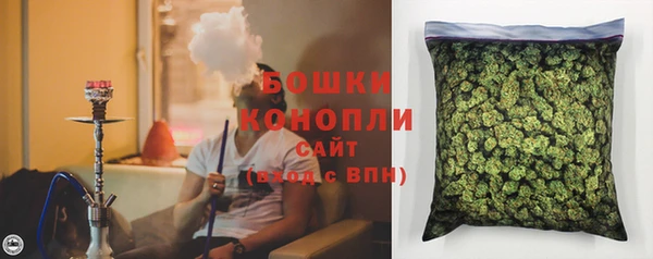 гидра Бугульма
