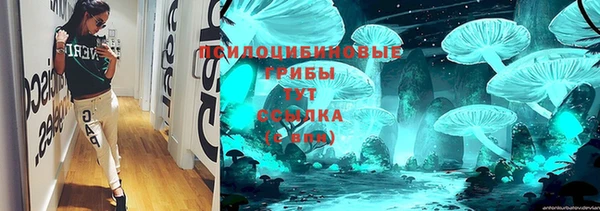 гидра Бугульма
