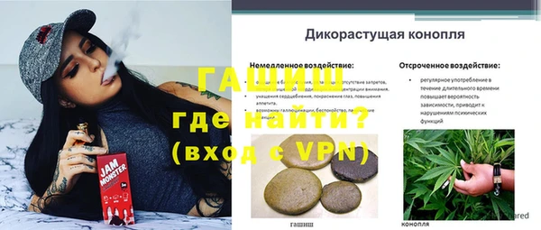 MDMA Бородино