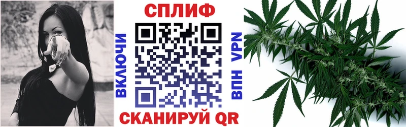 где найти   Жуковка  Канабис Bruce Banner 